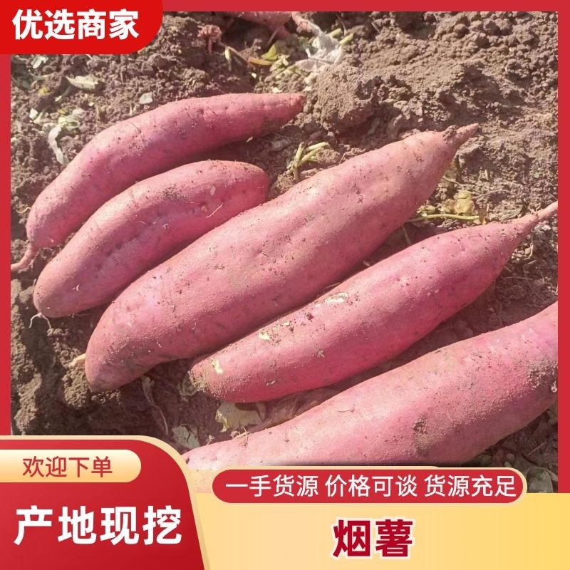 河北烟薯批发蜜薯产地一手货源全国发货规格齐全