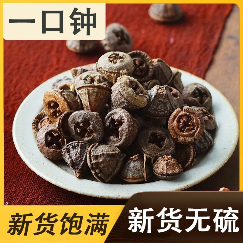 一口钟桉树果厂家直供量大从优全场包邮