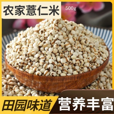 薏米薏米仁贵州小粒薏米仁炒薏米质量保证量大从优