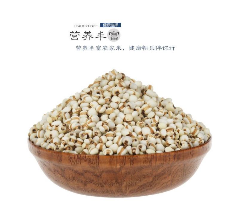 薏米薏米仁贵州小粒薏米仁炒薏米质量保证量大从优