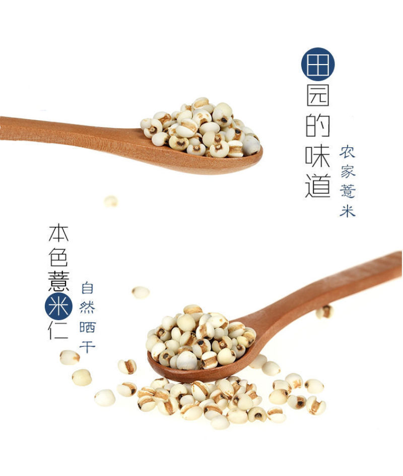薏米薏米仁贵州小粒薏米仁炒薏米质量保证量大从优