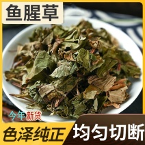 野生水洗鱼腥草无硫干度好叶绿鱼腥草干货折耳根中药材鱼腥草