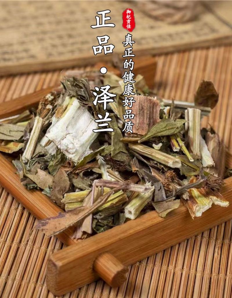 野生泽兰草中药材泽兰叶新鲜蛇王草地瓜苗草泽兰中草