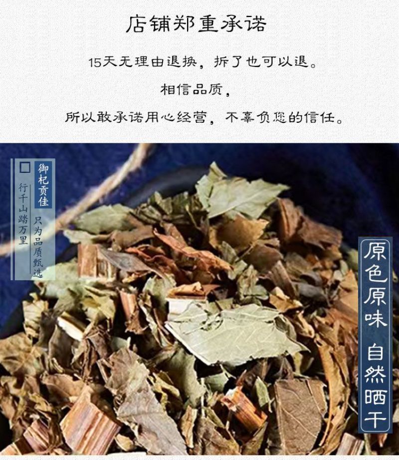 野生泽兰草中药材泽兰叶新鲜蛇王草地瓜苗草泽兰中草