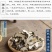 正品安庆岳西茯苓皮中药材茯苓皮云苓皮猪苓皮