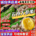 【人参果】石林人参果皮薄肉厚基地直供全国发货