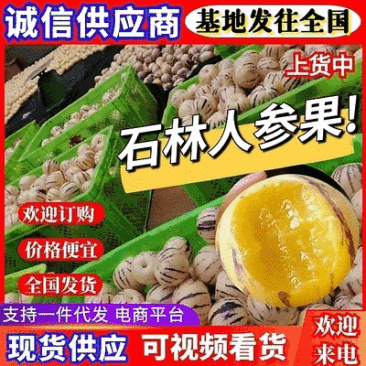 【精品】云南石林人参果，自产自销，现摘现发，量大从优
