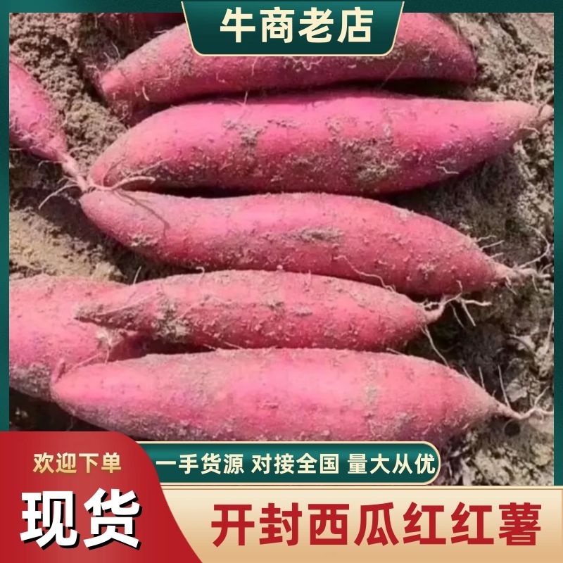祥符西瓜红红薯产地发货货源充足价格公道可视频看货