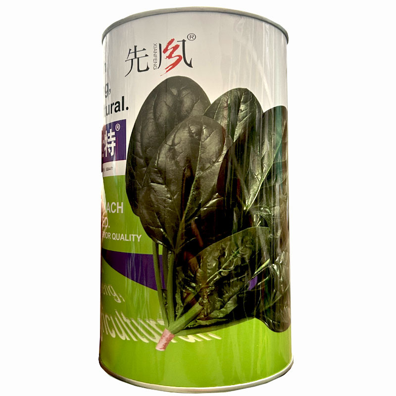 菠菜种子菠世特耐寒深绿圆叶春秋播种中早熟耐抽苔基地农场品