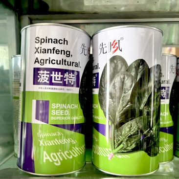 菠菜种子菠世特耐寒深绿圆叶春秋播种中早熟耐抽苔基地农场品