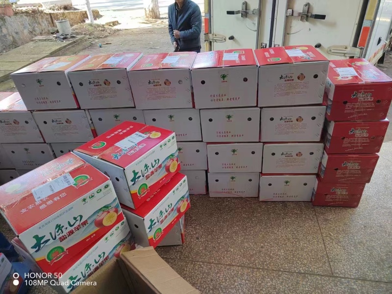 盐源县新鲜苹果红富士苹果溏心苹果产地直发