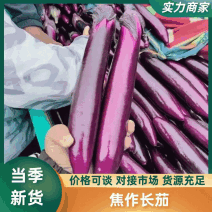 【热卖中】河南焦作紫光长茄广茄代发全国电商加工厂欢迎咨询