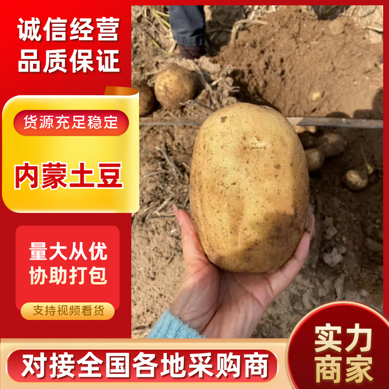 内蒙精品v7沃土等品种齐全供应各大市场电商商超