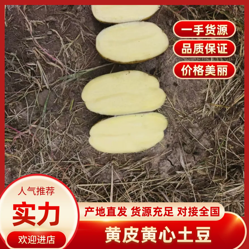 内蒙精品v7沃土等品种齐全供应各大市场电商商超