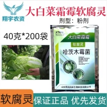 山东润禾秀田润禾大白菜霜霉软腐灵微生物菌剂