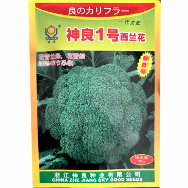 神良1号西蓝花种子早熟65天耐低温不发紫花蕾细花菜