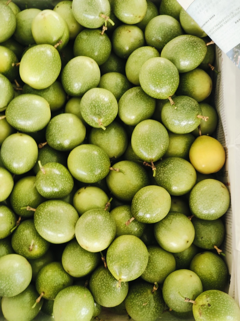 钦蜜9号百香果保质保量量大价优欢迎选购