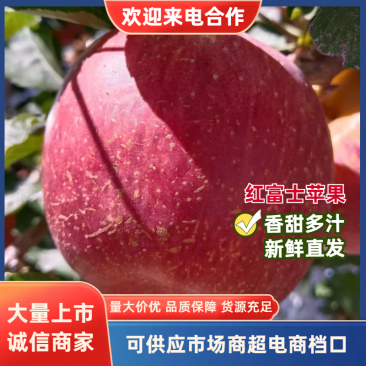 红富士苹果产地一手货源高糖心品质保障实力代办欢迎来电