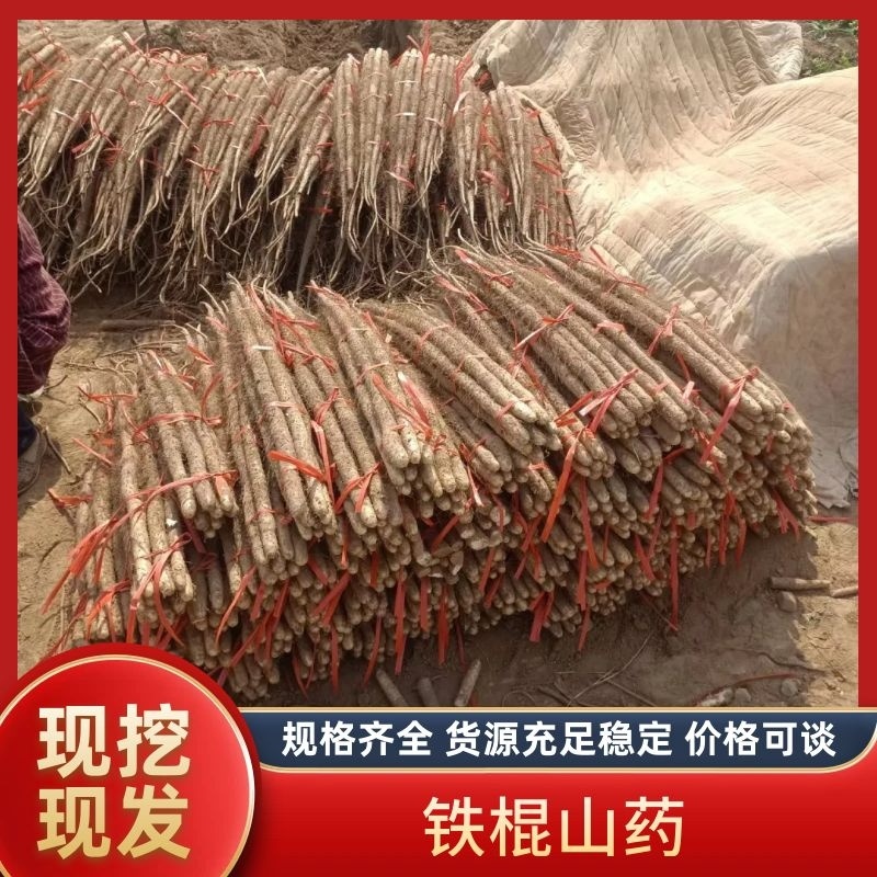 铁棍山药量大质优价格优惠欢迎各大老板前来采购一手货源
