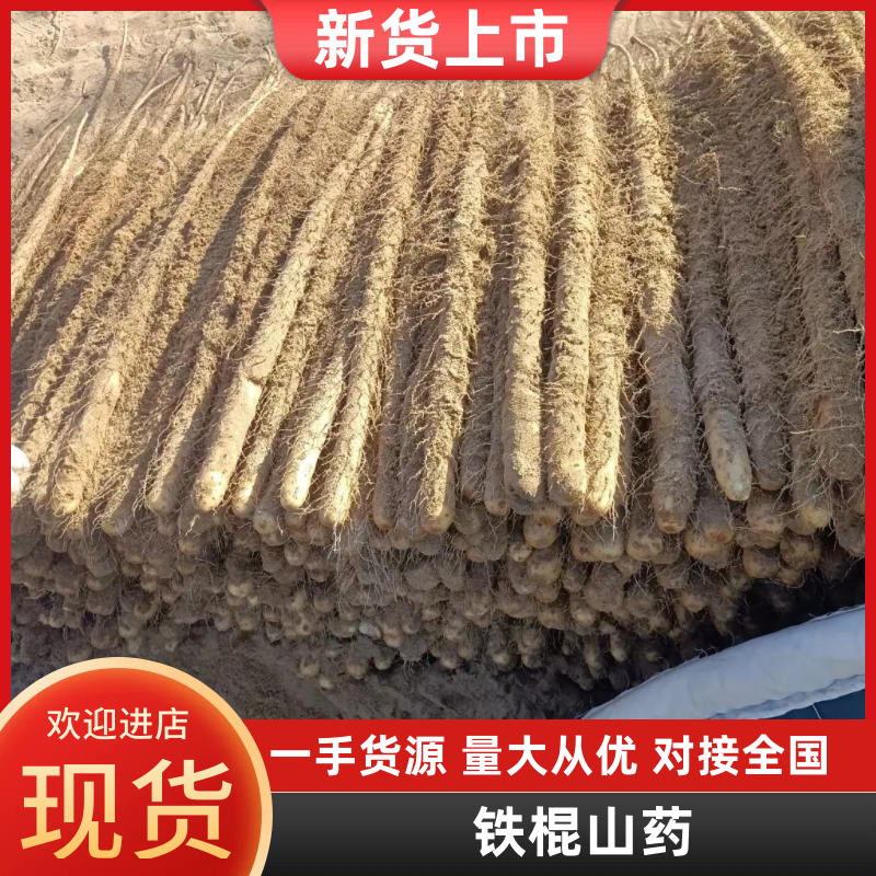 精品铁棍山药基地供应全国直销一手货源支持视频看货