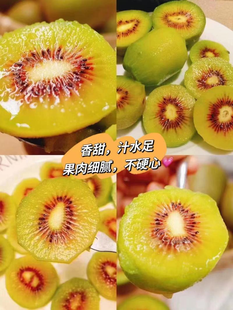 四川蒲江红心猕猴桃产地直供一手货源可视频看货以质论价电联