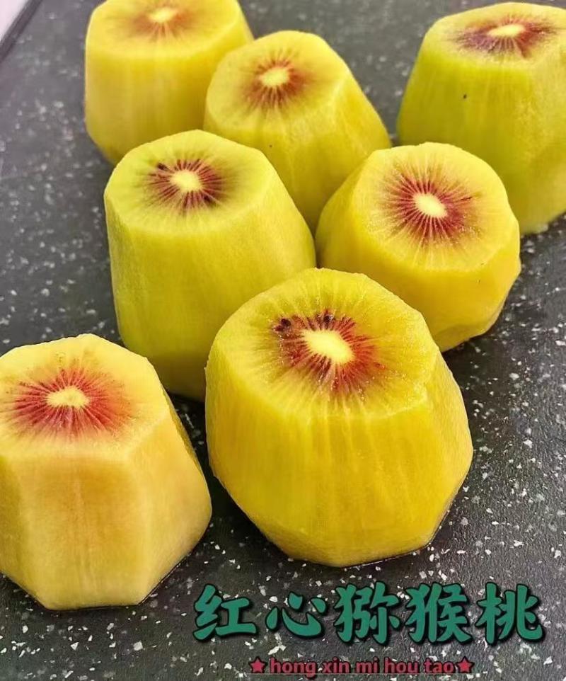 四川蒲江红心猕猴桃产地直供一手货源可视频看货以质论价电联
