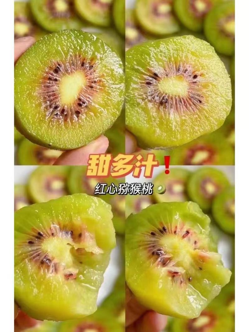 四川蒲江红心猕猴桃产地直供一手货源可视频看货以质论价电联