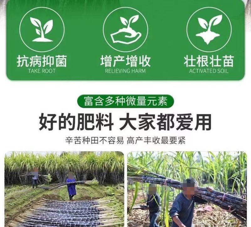 甘蔗专用叶面肥拉长拉直增粗增甜增糖生根壮苗抗倒伏实心膨大