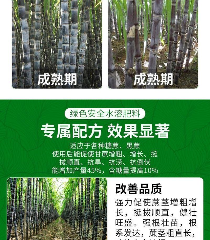 甘蔗专用叶面肥拉长拉直增粗增甜增糖生根壮苗抗倒伏实心膨大
