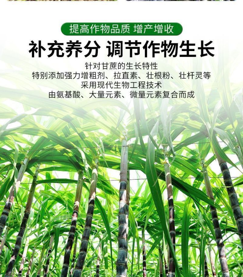 甘蔗专用叶面肥拉长拉直增粗增甜增糖生根壮苗抗倒伏实心膨大
