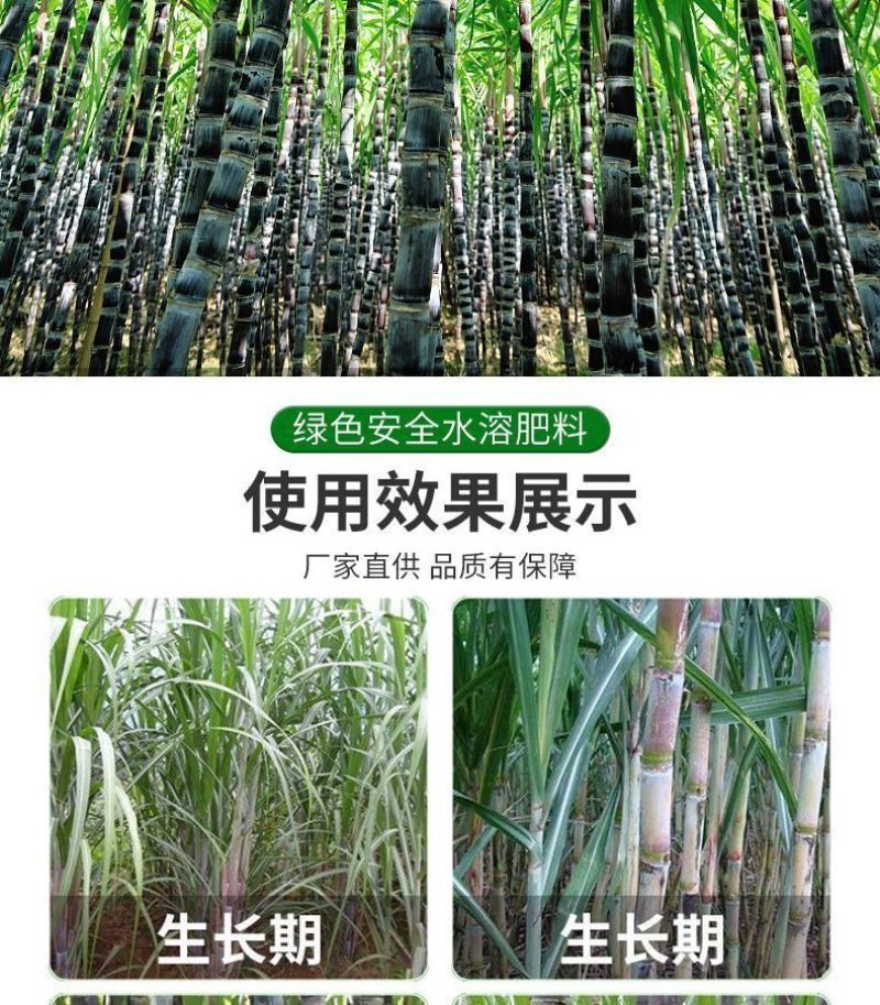 甘蔗专用叶面肥拉长拉直增粗增甜增糖生根壮苗抗倒伏实心膨大