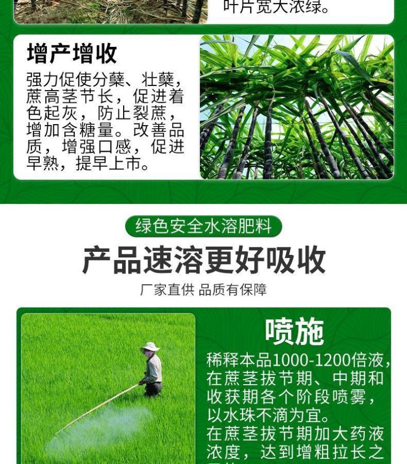 甘蔗专用叶面肥拉长拉直增粗增甜增糖生根壮苗抗倒伏实心膨大