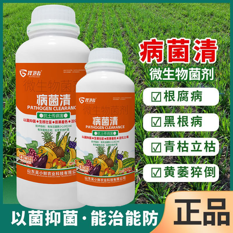 病菌清微生物菌剂杀菌剂真菌细菌病毒早晚疫病霜霉病白粉病