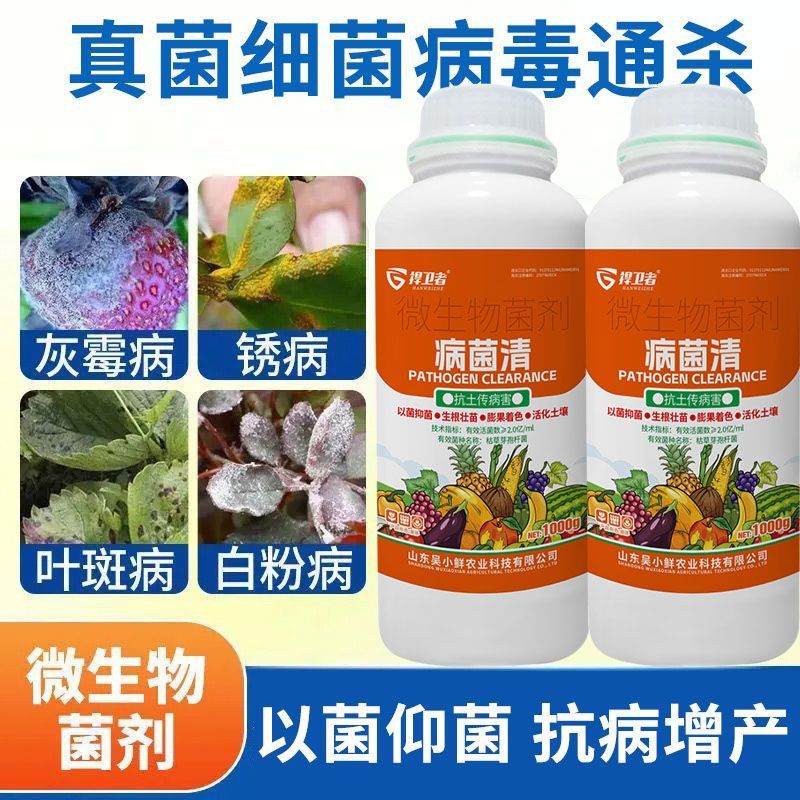 病菌清微生物菌剂杀菌剂真菌细菌病毒早晚疫病霜霉病白粉病