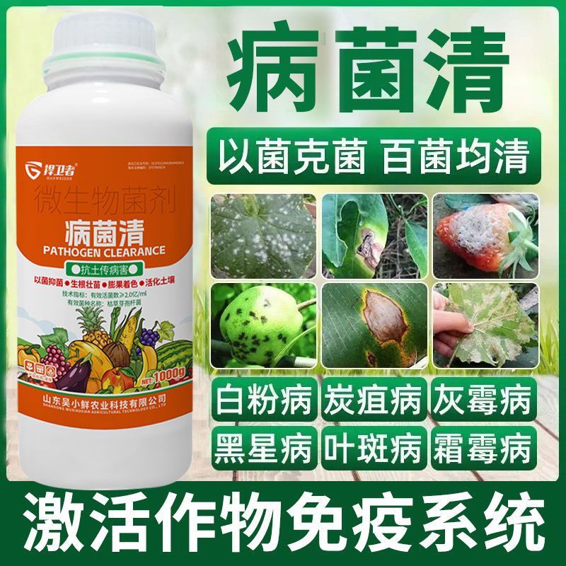 病菌清微生物菌剂杀菌剂真菌细菌病毒早晚疫病霜霉病白粉病