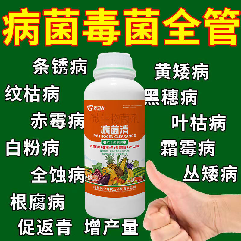 病菌清微生物菌剂杀菌剂真菌细菌病毒早晚疫病霜霉病白粉病