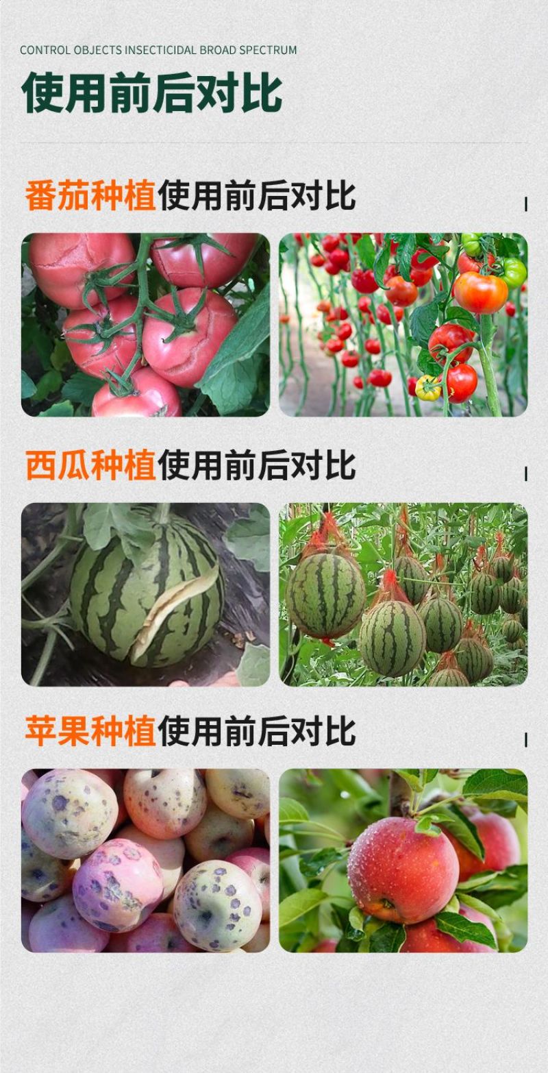 病菌清微生物菌剂杀菌剂真菌细菌病毒早晚疫病霜霉病白粉病