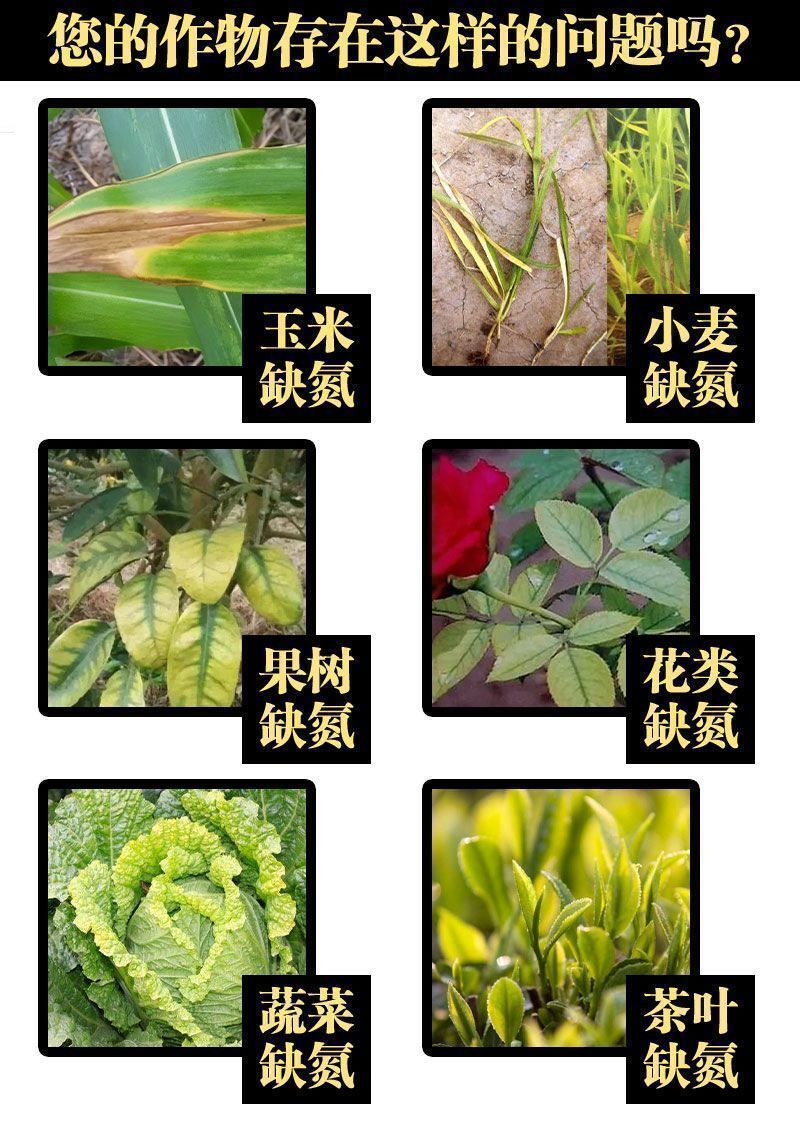 黑金氮螯合液体氮肥茶叶果树玉米小麦水稻蔬菜有机水溶肥料氮