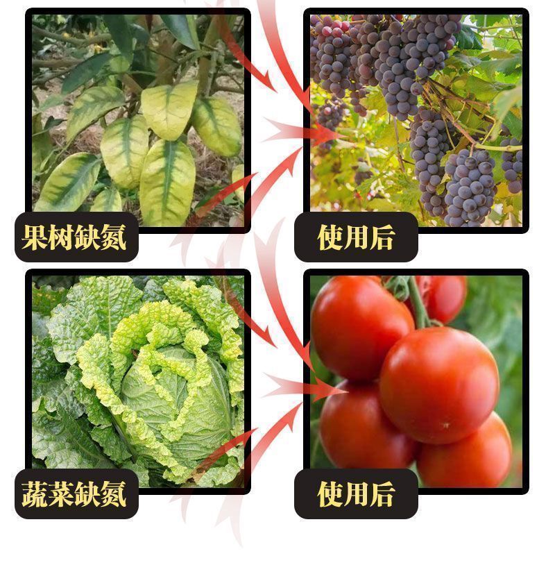 黑金氮螯合液体氮肥茶叶果树玉米小麦水稻蔬菜有机水溶肥料氮