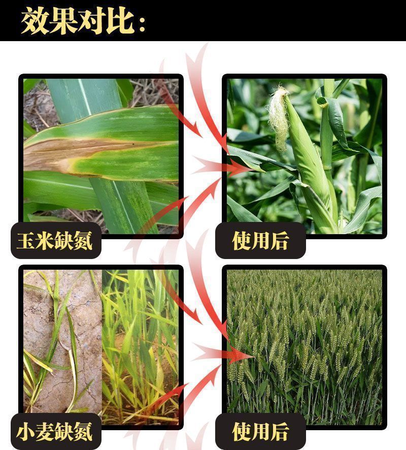 黑金氮螯合液体氮肥茶叶果树玉米小麦水稻蔬菜有机水溶肥料氮