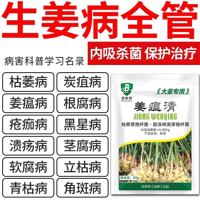 姜瘟净姜瘟专用姜瘟清生姜大姜干尖黄叶烂脖子茎基腐菌助