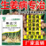 姜瘟净姜瘟专用姜瘟清生姜大姜干尖黄叶烂脖子茎基腐菌助