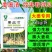 姜瘟净姜瘟专用姜瘟清生姜大姜干尖黄叶烂脖子茎基腐菌助