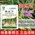 姜瘟净姜瘟专用姜瘟清生姜大姜干尖黄叶烂脖子茎基腐菌助
