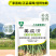 姜瘟净姜瘟专用姜瘟清生姜大姜干尖黄叶烂脖子茎基腐菌助