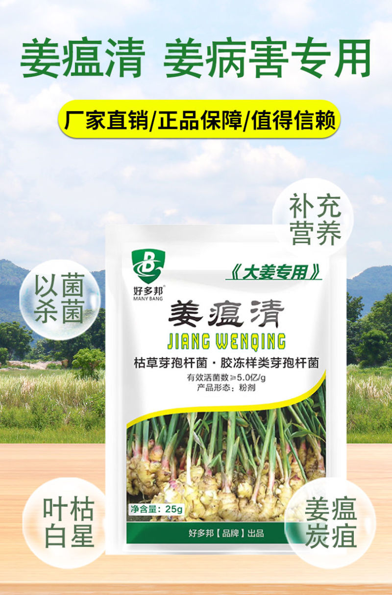 姜瘟净姜瘟专用姜瘟清生姜大姜干尖黄叶烂脖子茎基腐菌助
