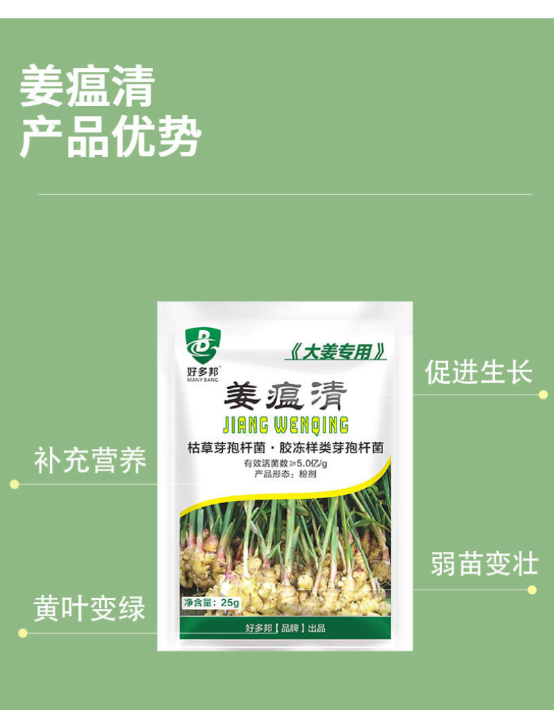 姜瘟净姜瘟专用姜瘟清生姜大姜干尖黄叶烂脖子茎基腐菌助