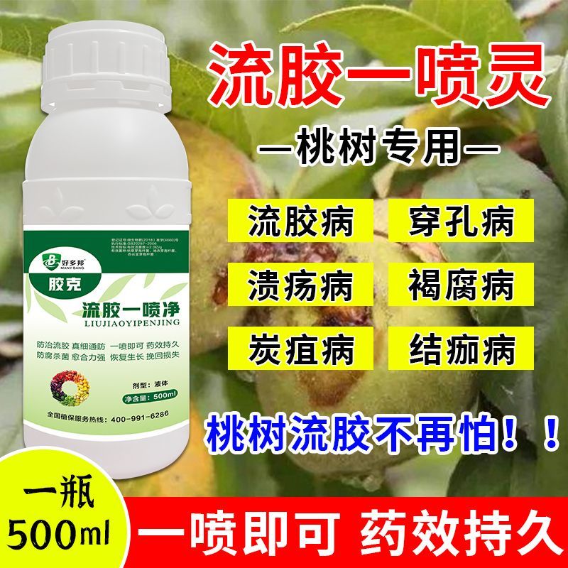 正品流胶一喷净果树花椒桃树流胶病专用真菌细菌溶解剂微生物