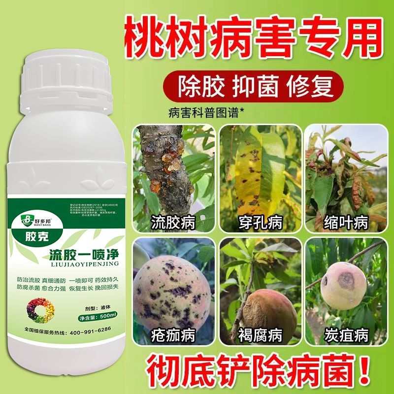 正品流胶一喷净果树花椒桃树流胶病专用真菌细菌溶解剂微生物