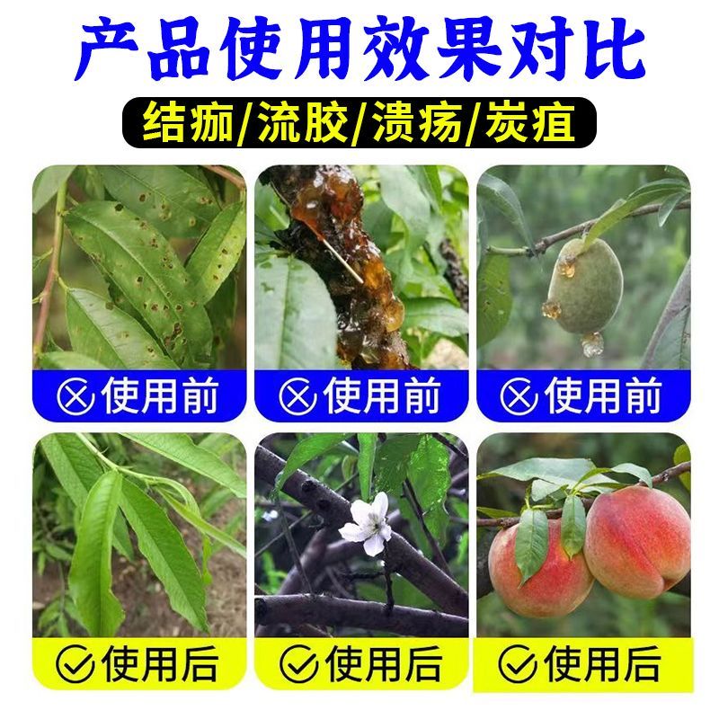 正品流胶一喷净果树花椒桃树流胶病专用真菌细菌溶解剂微生物